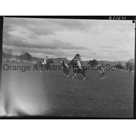 Polocrosse carnival