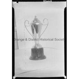 Best baby trophy