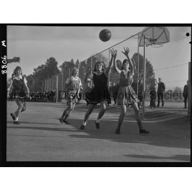 Astley Cup basketball