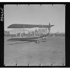 Tiger Moth in Orange