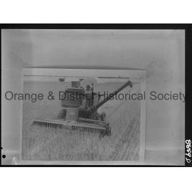 Copy for Molong Show Society