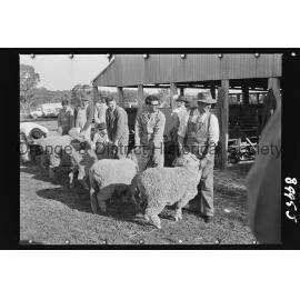 Molong Show