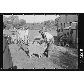 Molong Show