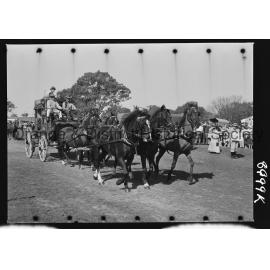 Molong Show