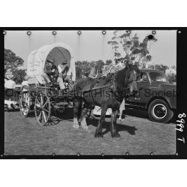 Molong Show