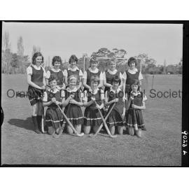 Hockey teams