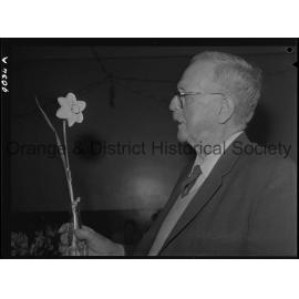 Spring flower show