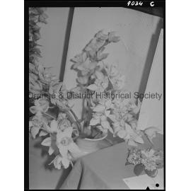 Spring flower show