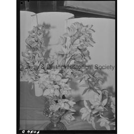Spring flower show