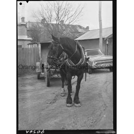 Horse and cart deliveries