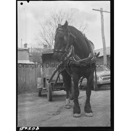Horse and cart deliveries
