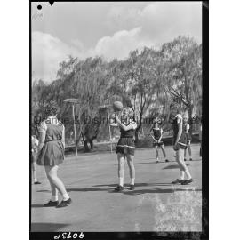 Basketball