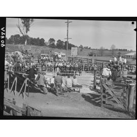 Commercial breeders sale