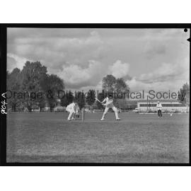 Cricket