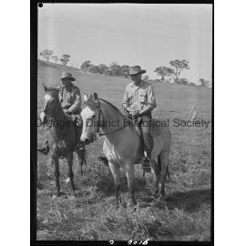 Cattle drive