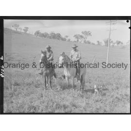 Cattle drive