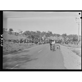 Cattle drive