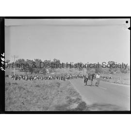 Cattle drive