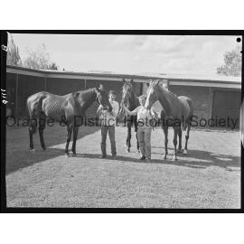 Cherry Blossom Handicap contenders