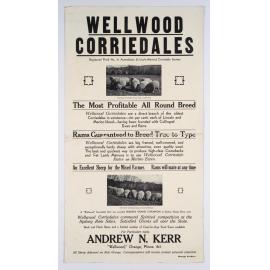Wellwood Corriedales