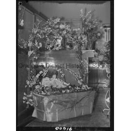 Cherry Blossom Festival display