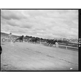 Cherry Blossom Handicap