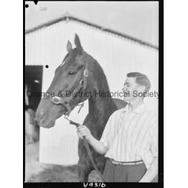 Racehorse Dunedoo