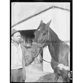 Racehorse Dunedoo