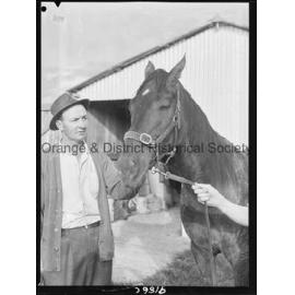Racehorse Dunedoo