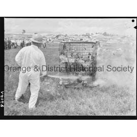 Orange National Field Days