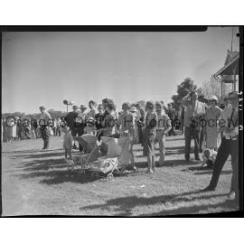 Horse races