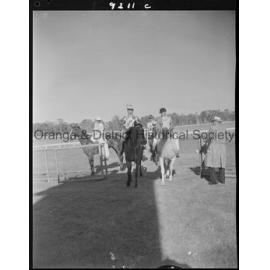 Horse races