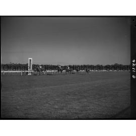 Horse races
