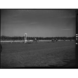 Horse races