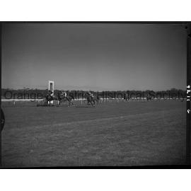 Horse races