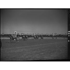 Horse races