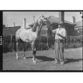 Racehorse Persian Puzzle