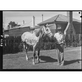 Racehorse Persian Puzzle