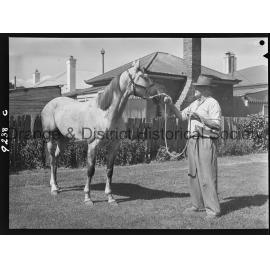 Racehorse Persian Puzzle