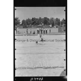 Swimming carnival