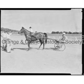 Trotting Club returning to scale