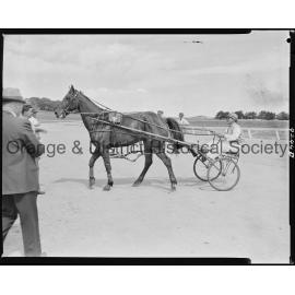 Trotting Club returning to scale