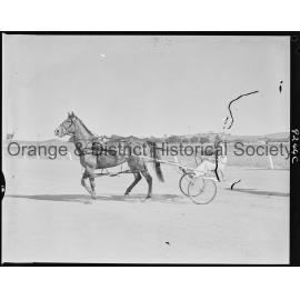 Trotting Club returning to scale