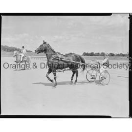Trotting Club returning to scale