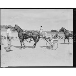 Trotting Club returning to scale