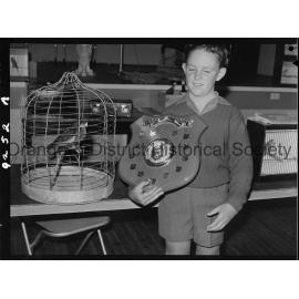 Caged birds show