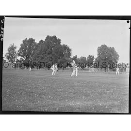 Cricket