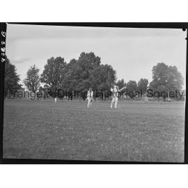 Cricket