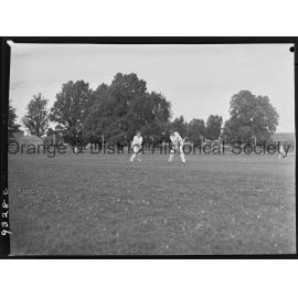 Cricket
