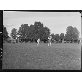 Cricket